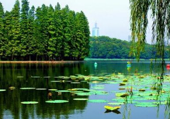 未满小14洗澡无码视频网站