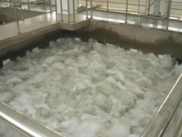 未满小14洗澡无码视频网站